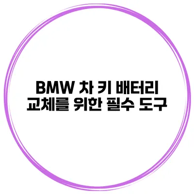 BMW 차 키 배터리 교체를 위한 필수 도구