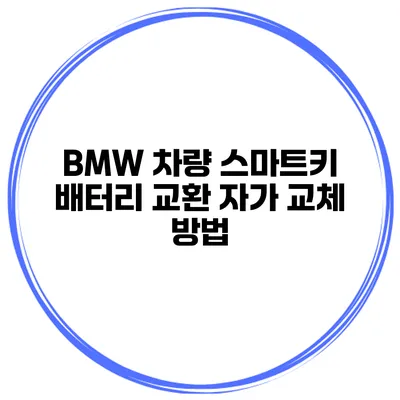 BMW 차량 스마트키 배터리 교환 자가 교체 방법
