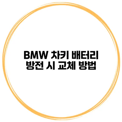 BMW 차키 배터리 방전 시 교체 방법