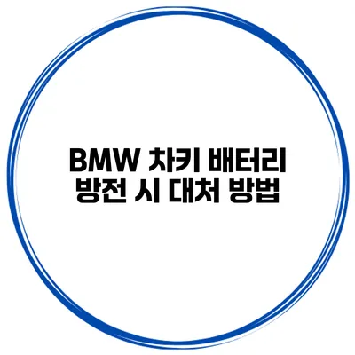 BMW 차키 배터리 방전 시 대처 방법