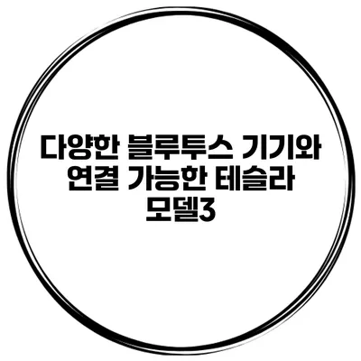 다양한 블루투스 기기와 연결 가능한 테슬라 모델3
