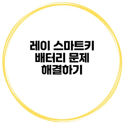 레이 스마트키 배터리 문제 해결하기