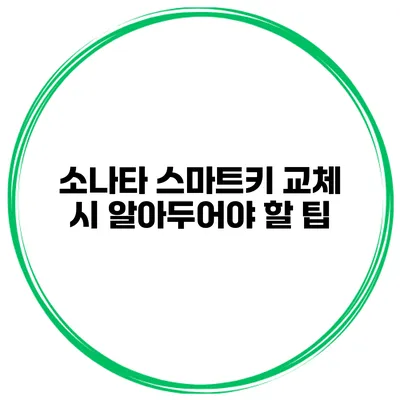 소나타 스마트키 교체 시 알아두어야 할 팁
