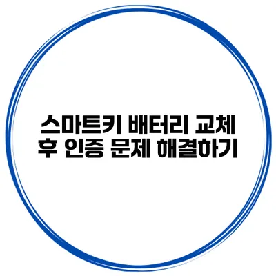 스마트키 배터리 교체 후 인증 문제 해결하기