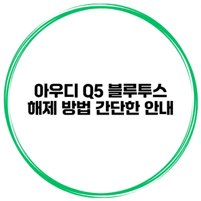 아우디 Q5 블루투스 해제 방법 간단한 안내