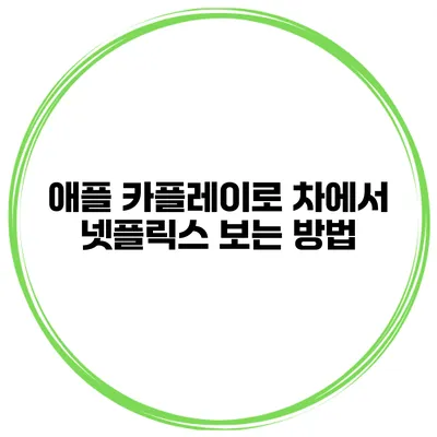 애플 카플레이로 차에서 넷플릭스 보는 방법